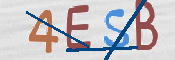 Immagine CAPTCHA
