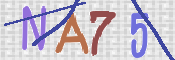 Immagine CAPTCHA
