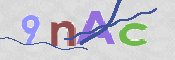 Immagine CAPTCHA