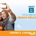 Airc: arance della salute