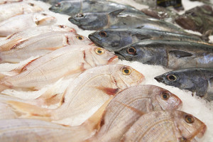 Il pesce è ricco di iodio