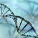 DNA - Mappa genetica