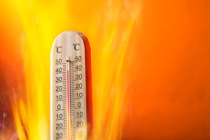 Caldo estivo