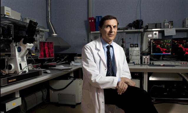 Lotta al cancro: premio europeo al Prof. Mantovani per l’immunoterapia