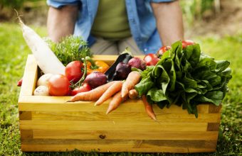Dieta di primavera
