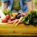 Dieta di primavera