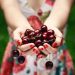Le proprietà benefiche delle ciliegie
