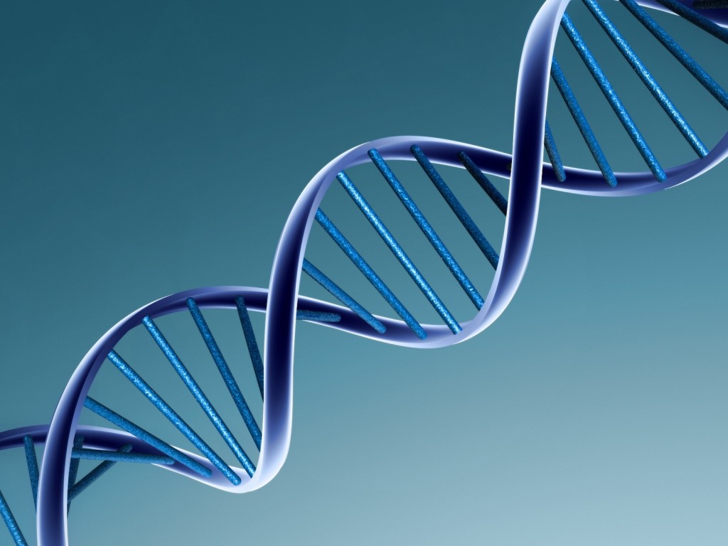 Il matrimonio tra consanguinei fa bene al DNA