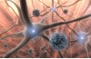 Neurologia cura il sistema nervoso 