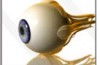Nuove metodologie per la diagnosi del glaucoma