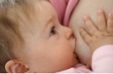 Allattamento al seno o artificiale: nutrizione del neonato prima dello svezzamento