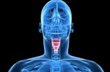Ipotiroidismo: carenza di ormoni tiroidei
