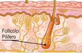 Follicolite: infezione del follicolo pilifero