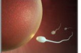 Infertilità maschile: infezioni batteriche la probabile causa